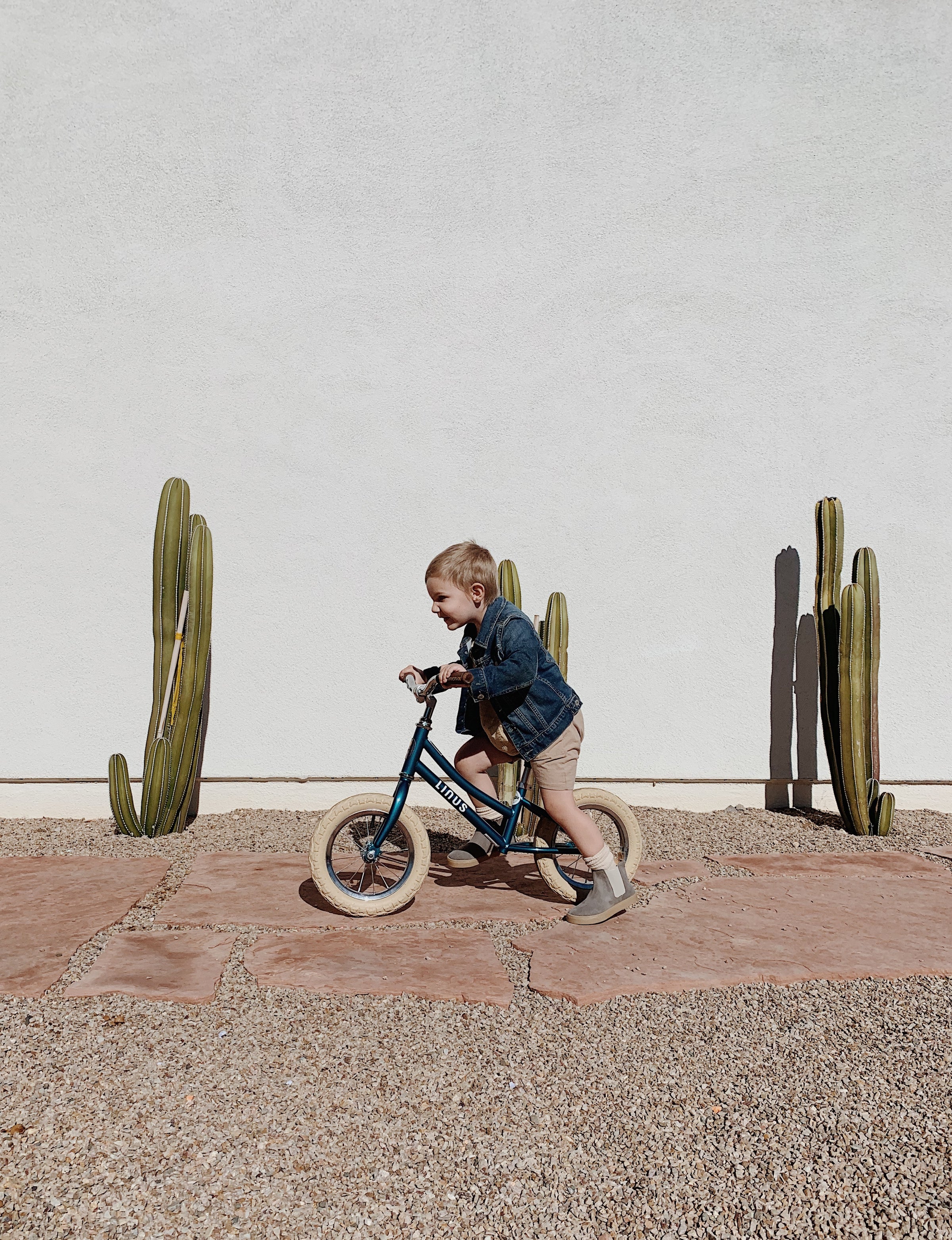 Linus balance clearance bike